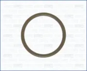 Dichtung, Düsenschacht AJUSA 16051000