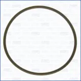 Dichtung, Wasserpumpe AJUSA 16060700