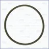 Dichtung, Unterdruckpumpe AJUSA 16088000
