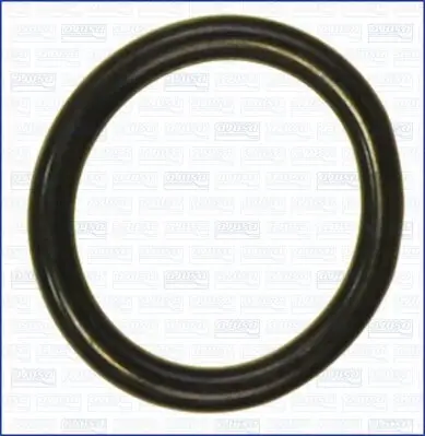 Dichtung, Thermostat AJUSA 16098500
