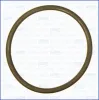 Dichtung, &Ouml;leinlass (Lader) AJUSA 16098700