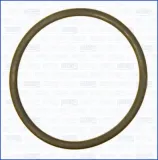 Dichtung, Öleinlass (Lader) AJUSA 16098700