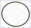 Dichtung, Unterdruckpumpe AJUSA 16099500