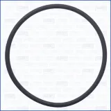 Dichtung, Kraftstoffpumpe AJUSA 16132100