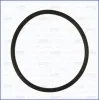 Dichtung, Wasserpumpe AJUSA 16507600