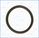 Dichtung, Kühlmittelrohr AJUSA 16528300