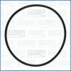 Dichtung, Wasserpumpe AJUSA 16540800