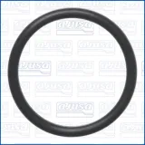 Dichtung, Wasserpumpe AJUSA 16547700