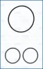 Dichtungssatz, Lader AJUSA 77009700