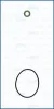 Dichtungssatz, Einspritzanlage Zylinderkopf, getriebeseitig AJUSA 77010200