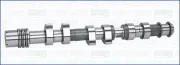 Nockenwelle AJUSA 93169300