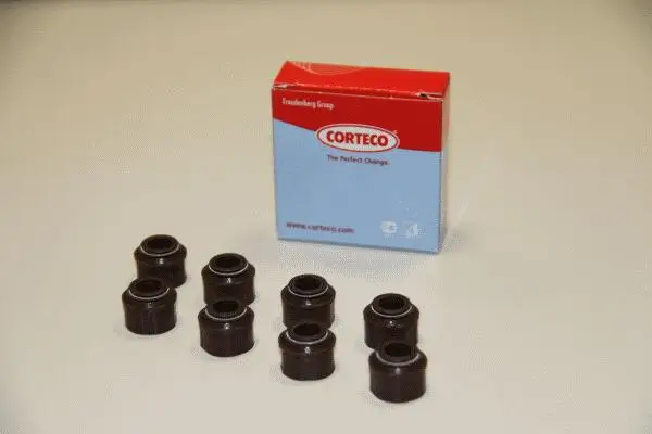Dichtungssatz, Ventilschaft CORTECO 19025715
