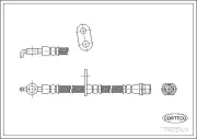 Bremsschlauch Vorderachse rechts CORTECO 19032424