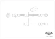 Bremsschlauch Vorderachse CORTECO 19032486