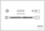 Bremsschlauch Hinterachse CORTECO 19032539