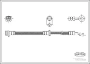 Bremsschlauch Hinterachse rechts CORTECO 19032888