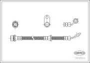 Bremsschlauch Vorderachse rechts CORTECO 19033055