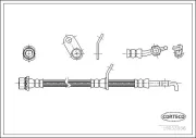 Bremsschlauch Hinterachse links CORTECO 19033056