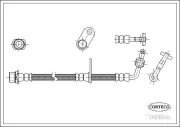 Bremsschlauch Vorderachse rechts CORTECO 19033083