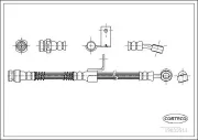 Bremsschlauch Vorderachse rechts CORTECO 19033511
