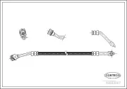 Bremsschlauch Vorderachse links CORTECO 19033567