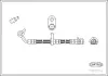 Bremsschlauch Hinterachse CORTECO 19035119