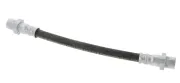 Bremsschlauch hinten CORTECO 19036202