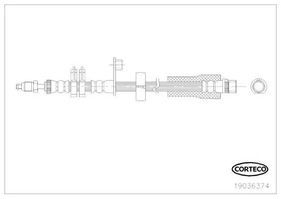 Bremsschlauch Vorderachse CORTECO 19036374