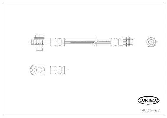Bremsschlauch Hinterachse CORTECO 19036497