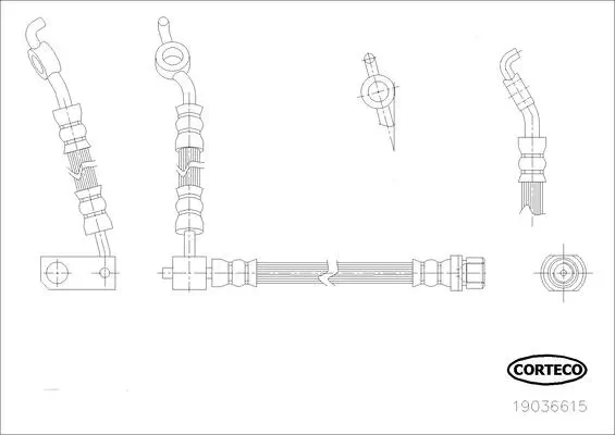 Bremsschlauch Hinterachse CORTECO 19036615