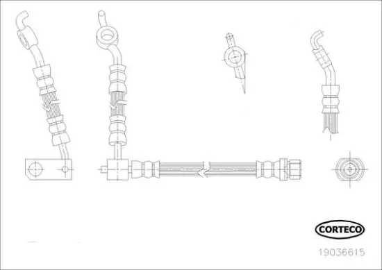 Bremsschlauch Hinterachse CORTECO 19036615 Bild Bremsschlauch Hinterachse CORTECO 19036615
