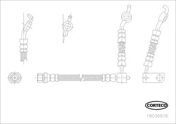 Bremsschlauch Hinterachse CORTECO 19036616