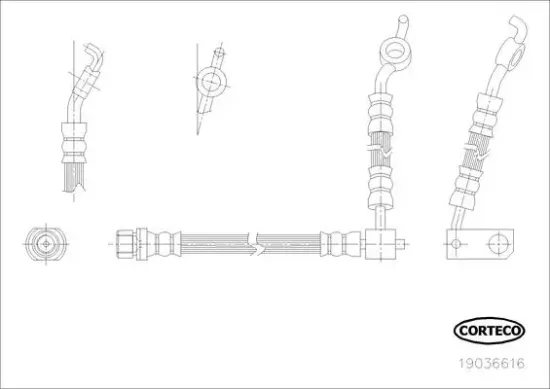Bremsschlauch Hinterachse CORTECO 19036616 Bild Bremsschlauch Hinterachse CORTECO 19036616