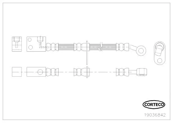 Bremsschlauch Vorderachse CORTECO 19036842