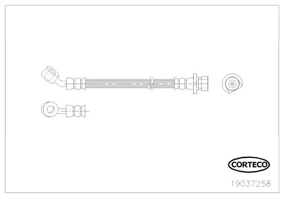 Bremsschlauch Hinterachse links außen CORTECO 19037258