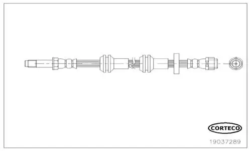 Bremsschlauch Vorderachse CORTECO 19037289