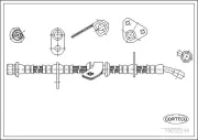 Bremsschlauch Vorderachse rechts CORTECO 19032246