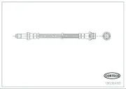 Bremsschlauch Hinterachse CORTECO 19036490