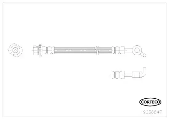 Bremsschlauch CORTECO 19036847 Bild Bremsschlauch CORTECO 19036847