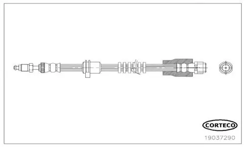 Bremsschlauch Vorderachse CORTECO 19037290