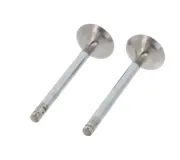 Auslassventil abgasseitig CORTECO 550983B