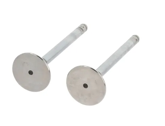 Auslassventil abgasseitig CORTECO 550983B Bild Auslassventil abgasseitig CORTECO 550983B