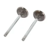 Einlassventil Einlassseite CORTECO 550990B