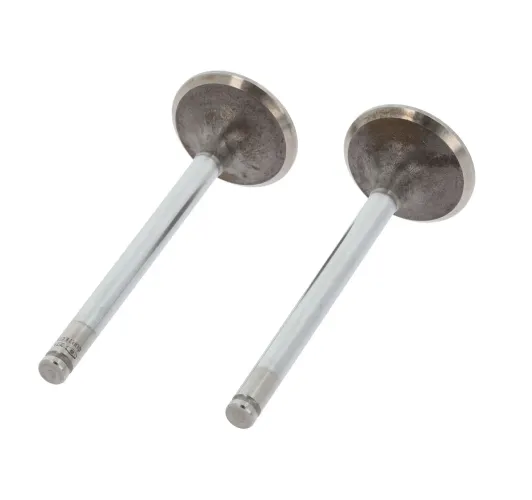 Einlassventil Einlassseite CORTECO 550990B Bild Einlassventil Einlassseite CORTECO 550990B