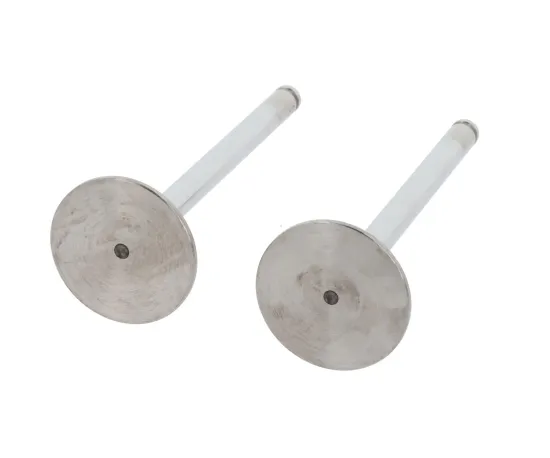 Einlassventil Einlassseite CORTECO 550990B Bild Einlassventil Einlassseite CORTECO 550990B