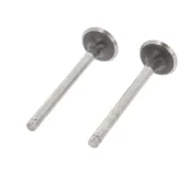 Auslassventil abgasseitig CORTECO 550002B