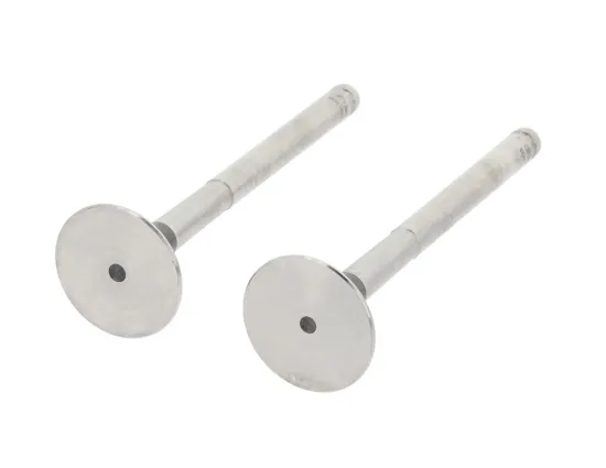 Auslassventil abgasseitig CORTECO 550002B Bild Auslassventil abgasseitig CORTECO 550002B