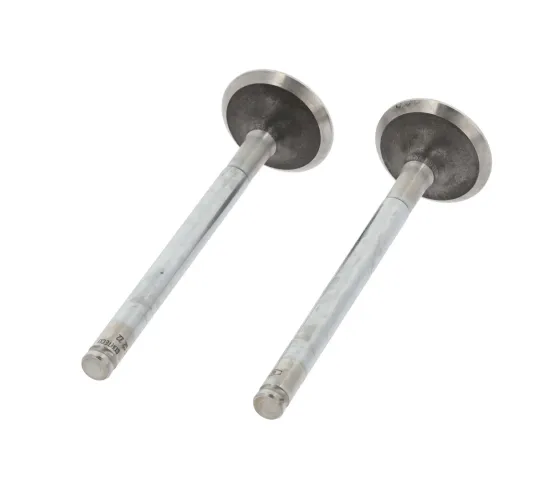 Auslassventil abgasseitig CORTECO 550243B Bild Auslassventil abgasseitig CORTECO 550243B