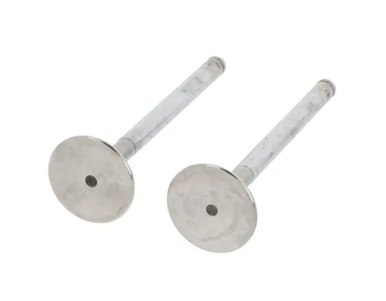 Auslassventil abgasseitig CORTECO 550243B Bild Auslassventil abgasseitig CORTECO 550243B