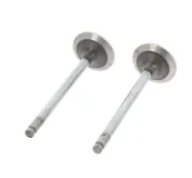 Einlassventil Einlassseite CORTECO 550252B